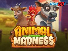 Animal Madness